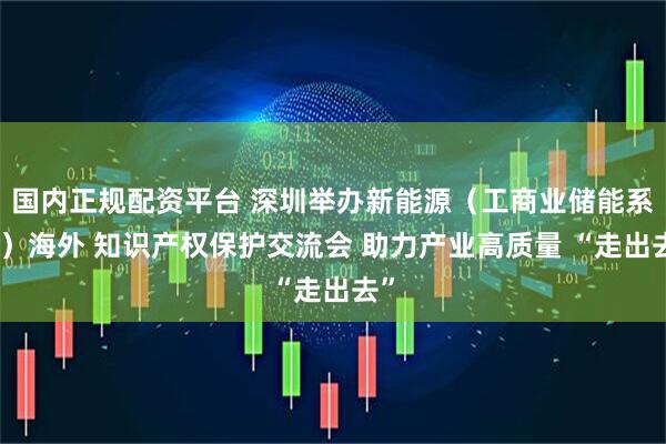 国内正规配资平台 深圳举办新能源（工商业储能系统）海外 知识产权保护交流会 助力产业高质量 “走出去”